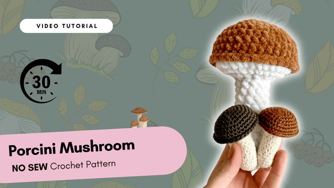 Porcini mushroom